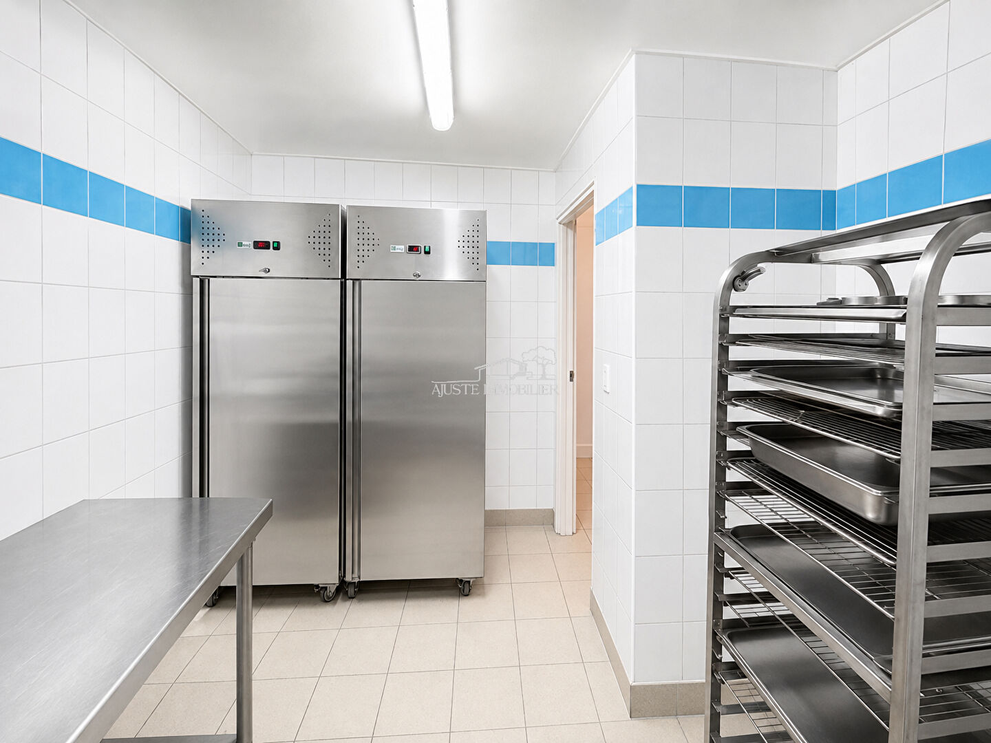 2026-15:02:59 Local commercial Fontvieille 300 m2